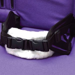 4 point pelvic strap