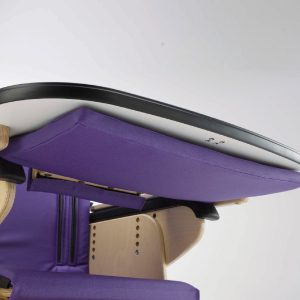 padded tray insert (fitted underneath) 