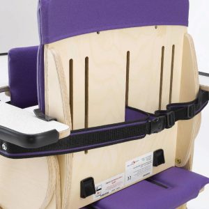 rear tray retaining strap 