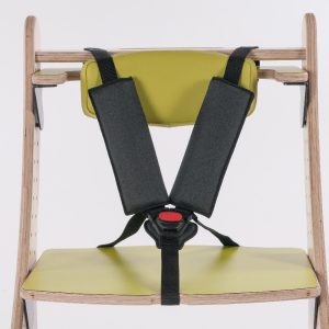 5-point harness